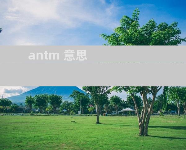 antm 意思